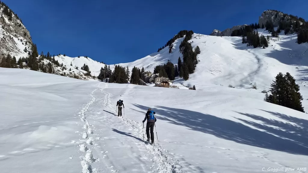 media-librarynrgsm9fd623f3Pc4WjC