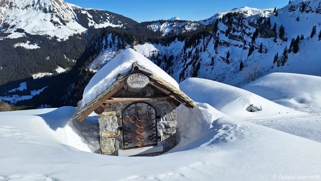 media-librarybg1318dftdkn4O1djVB