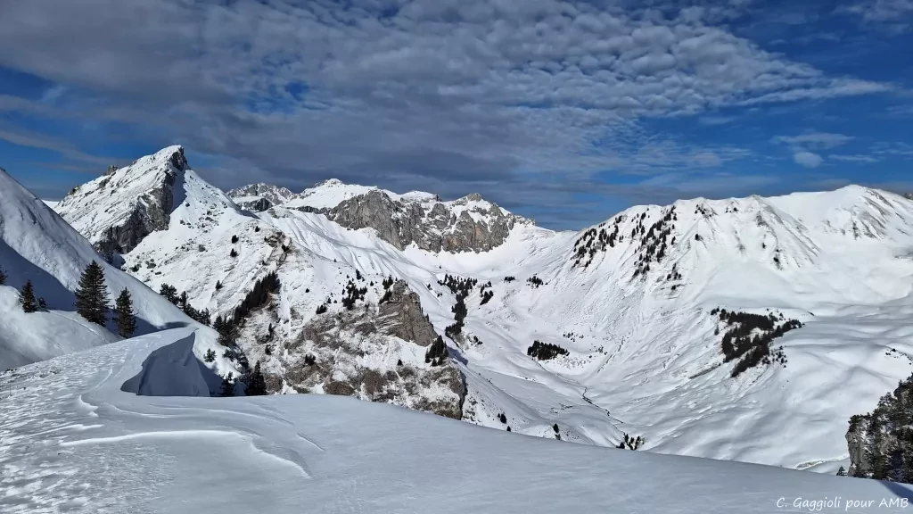 media-libraryanl7hoqjbmuh4UNGKMC