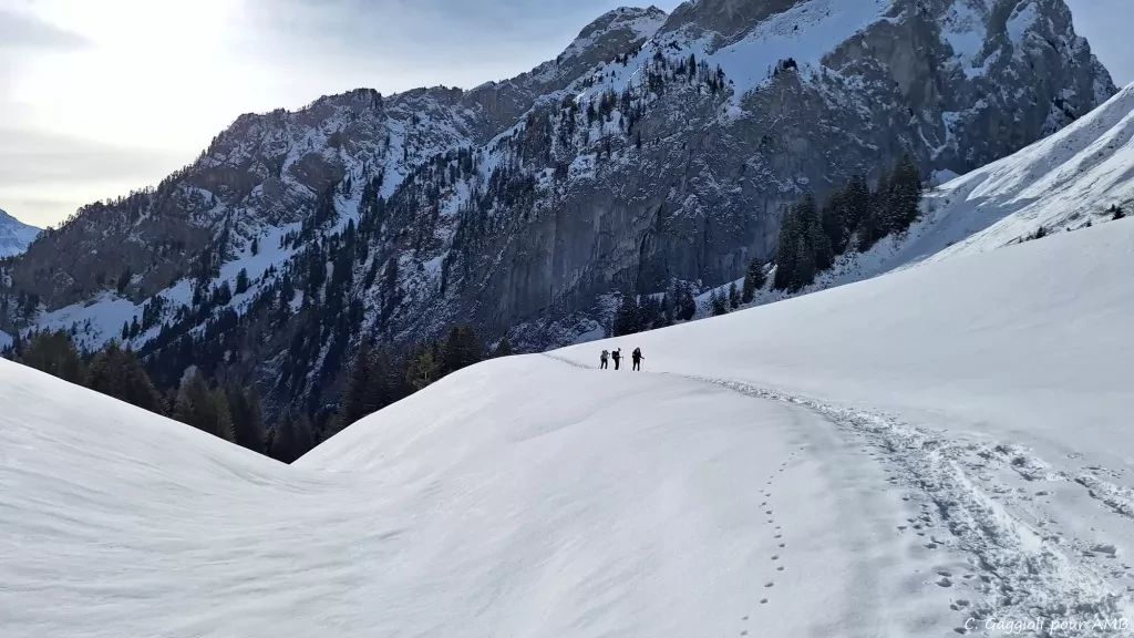 media-libraryj31ohcp7clskbebFiLC