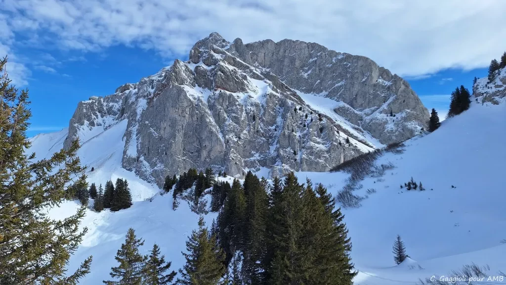 media-libraryf5rnve5jq1cu5yXG7ZC