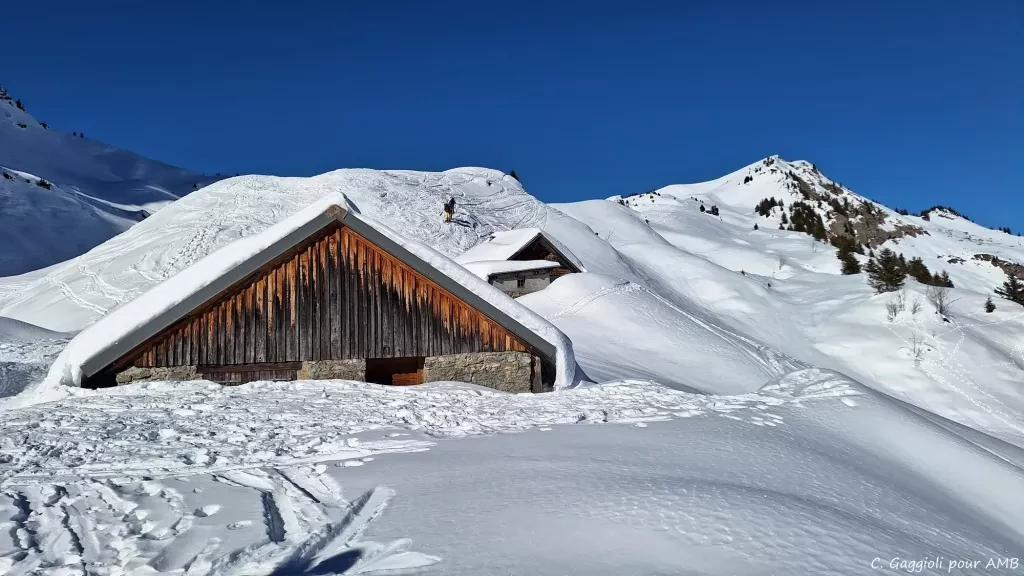 media-libraryqrvi9ged2kekcrumlYE