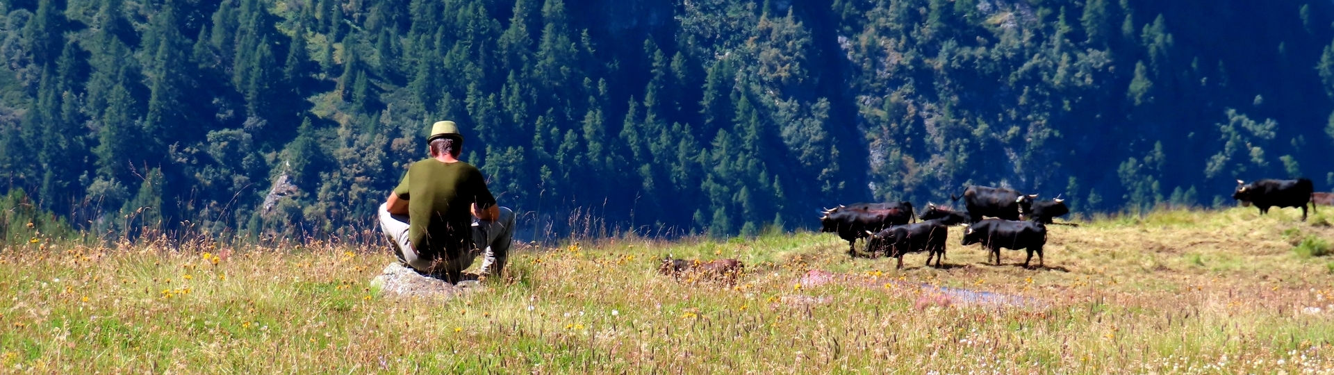 PANORAMA DU VALAIS