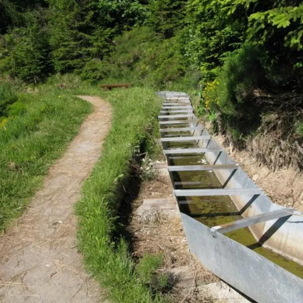 media-libraryofnd8tt9mh3a1hhqi2E