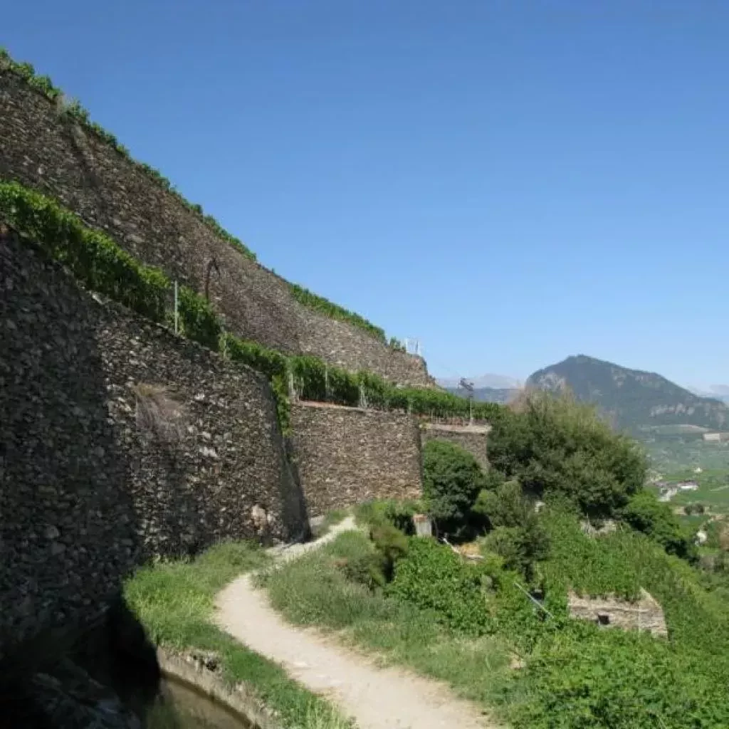 media-librarynvavou5fm46e5TYQdYE