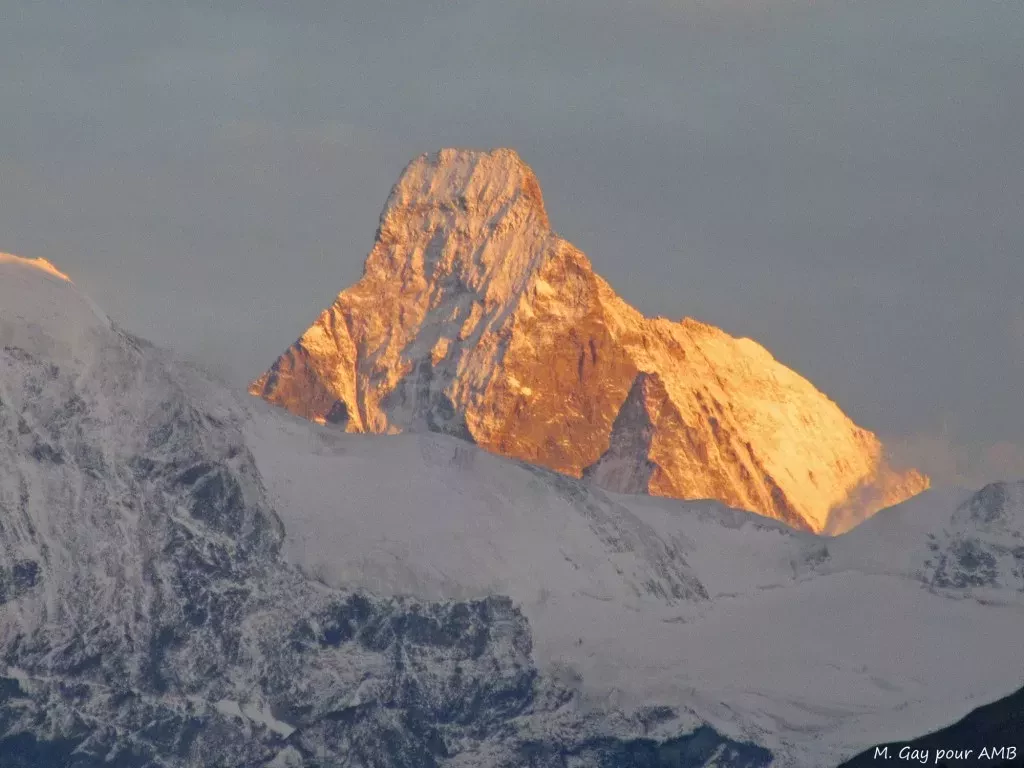 media-libraryhi08llpk4vdbbFwVPtC