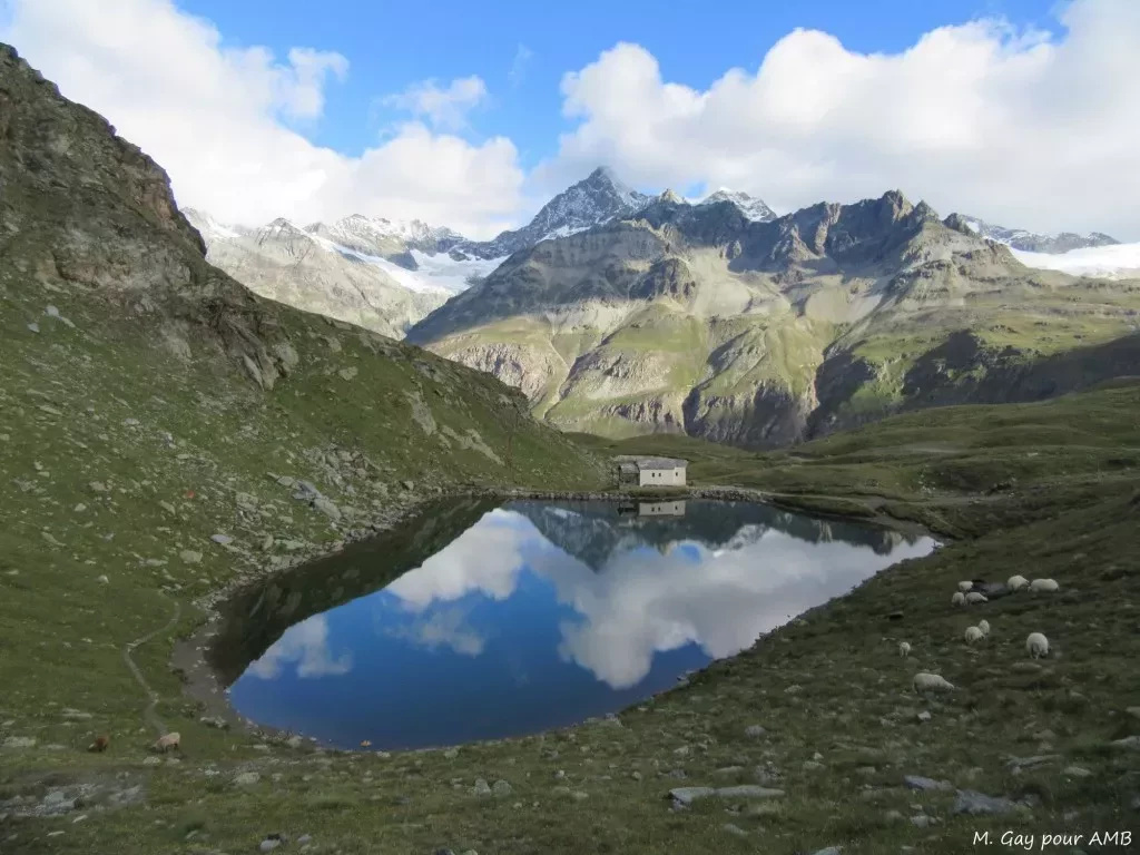 media-libraryhcb0b14uvg9j8ro0wOE