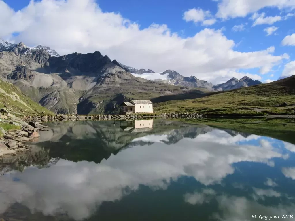 media-librarydvt7p47t0dfb6FOapFC