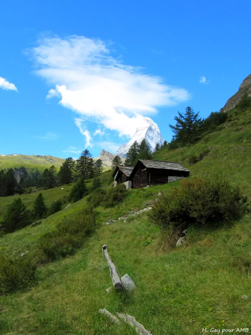 media-libraryo61q51v24rsrf9Er0YB