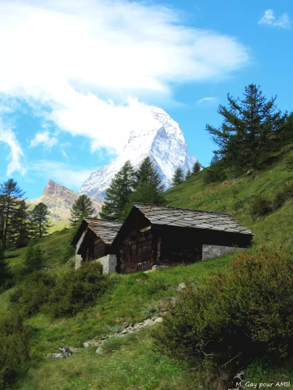 media-library11oveuetf8ah4xM5YCC