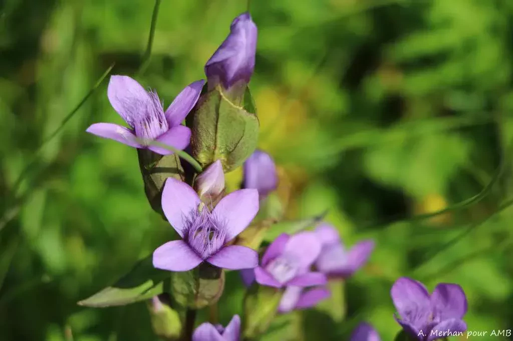 media-librarysc7rtb8mnqm261Tv3UD