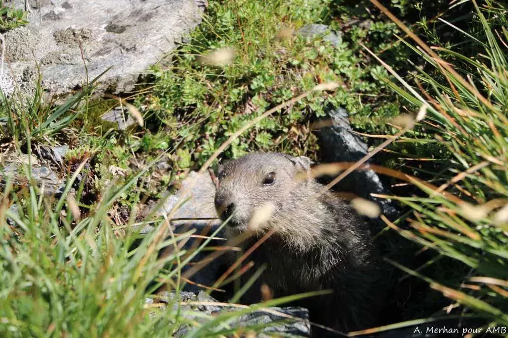 media-library0tmad32f6mvn4xtK5nD