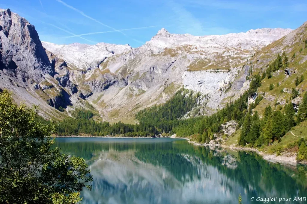 media-libraryurrgdd398pt4bDajjaD