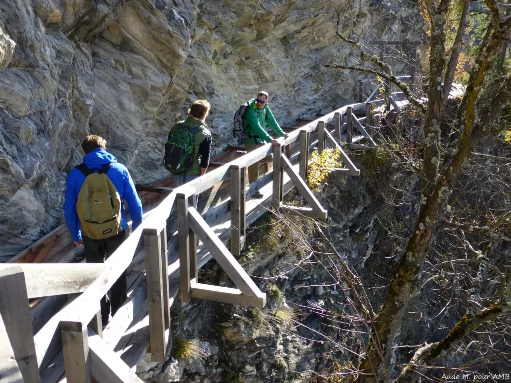 media-libraryblbictmvvf0mbmKviYE