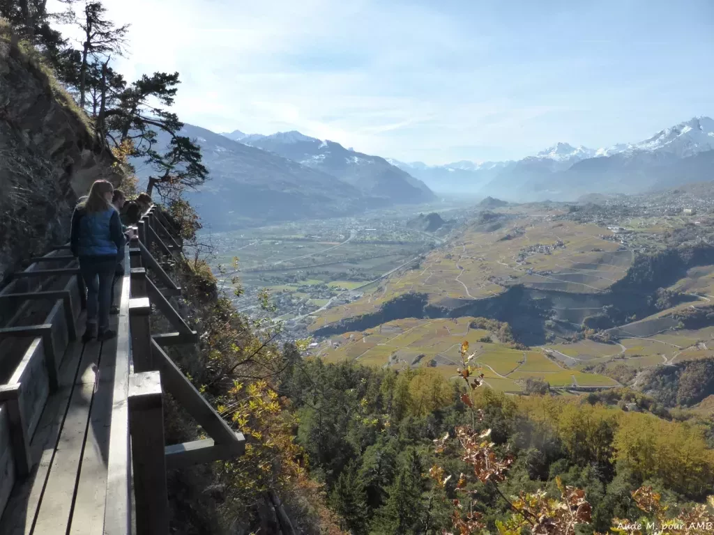 media-libraryn5065t0183ls0UrZ2eD