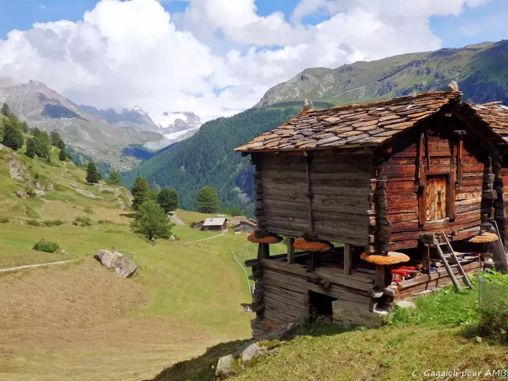 media-library0sb900dlktqf5Jtq2ZE