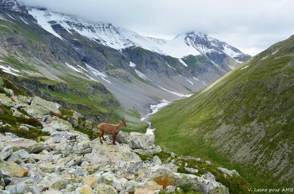 media-libraryjpiatkujjuum8IRVb3E