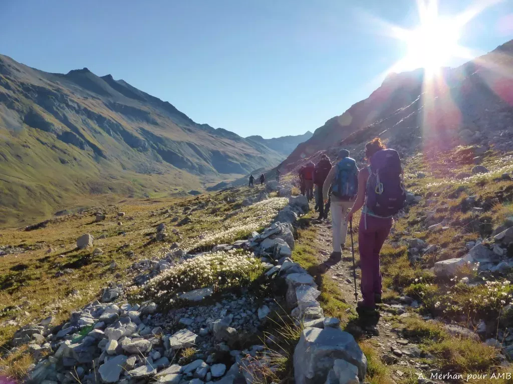 media-libraryrv346ouh9und0EeC3CC