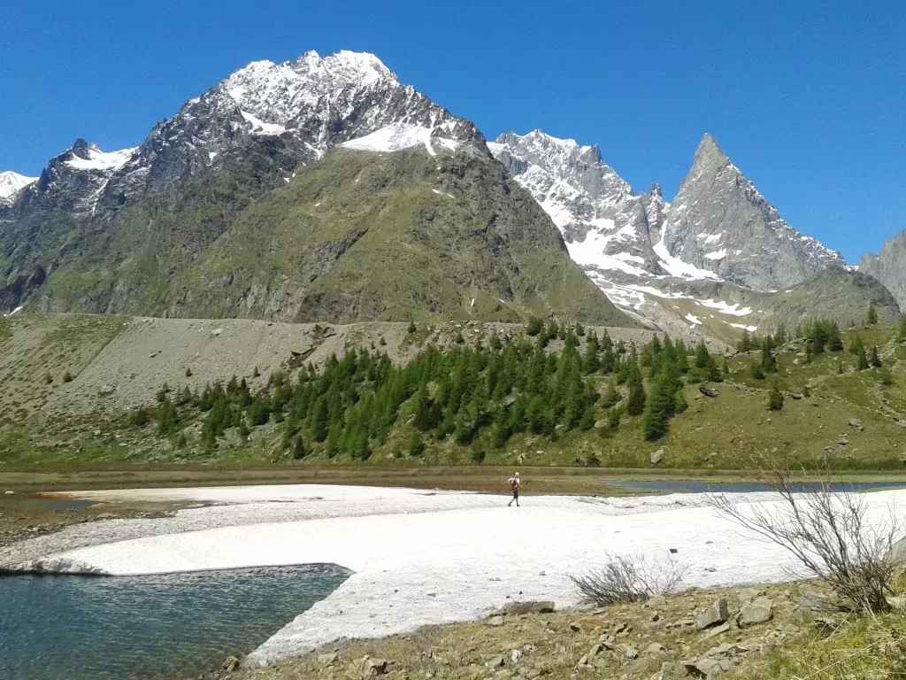 media-library1sievhhkvu0h97Rbp2D