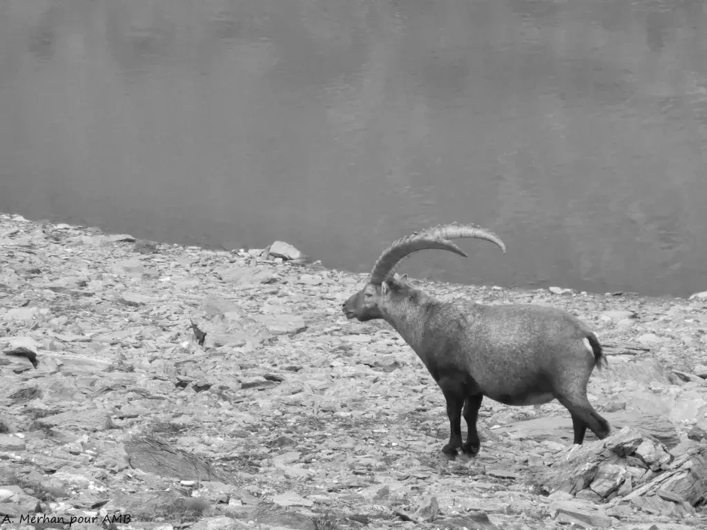 media-librarycp1q5t87oj6c79XNsCB