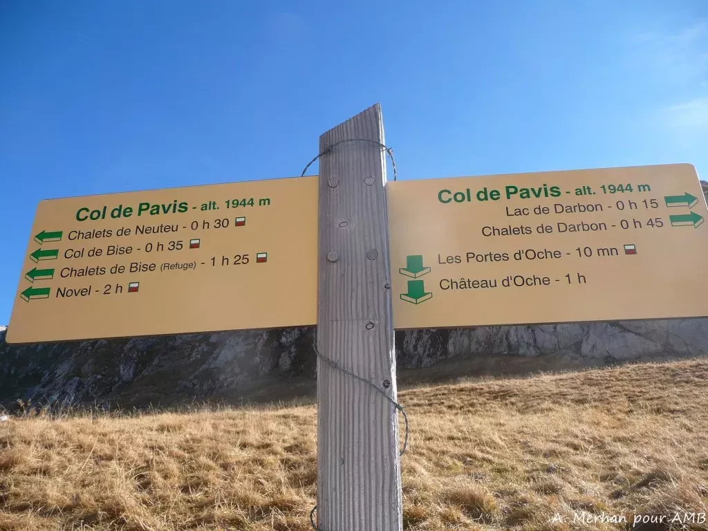 media-library9j2298kg8rgt6CrVLTD