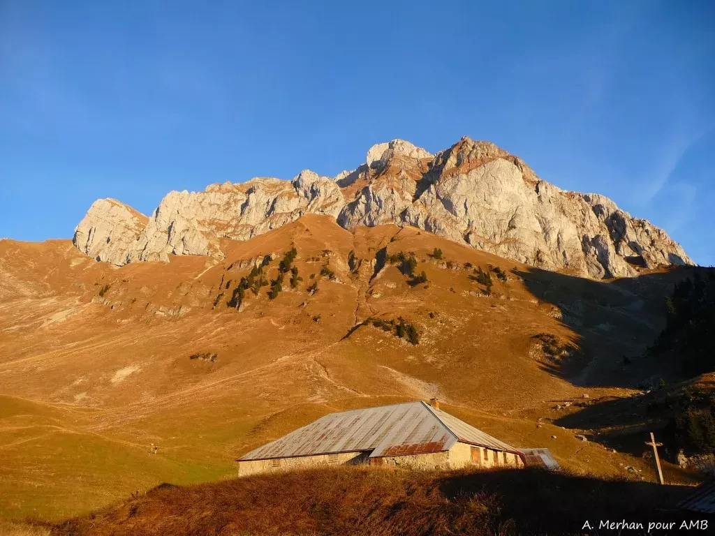 media-library8knmjrcl37pt3IrrhaD