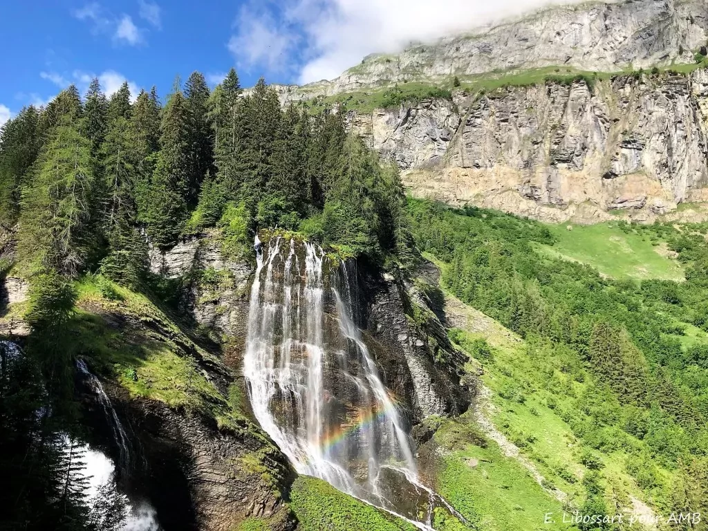 media-libraryqn1be6kcpr69cmA4rKB