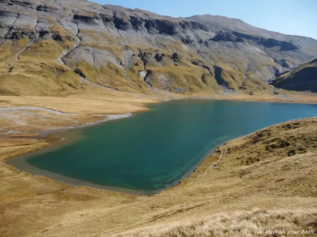 media-libraryvdbrndkpl9ht86EDBMC