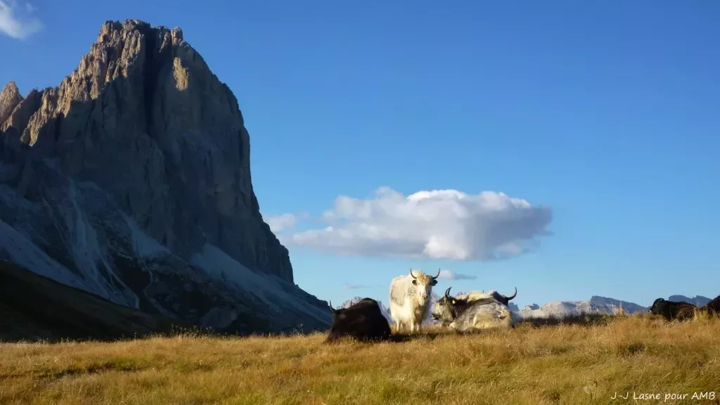 media-library2gtahnofpv7jeo8czJF