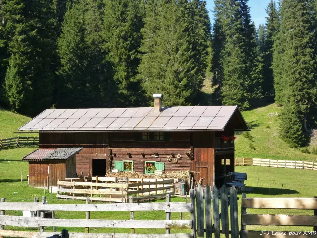 media-libraryaqgtkopg7tgi50QR4gD