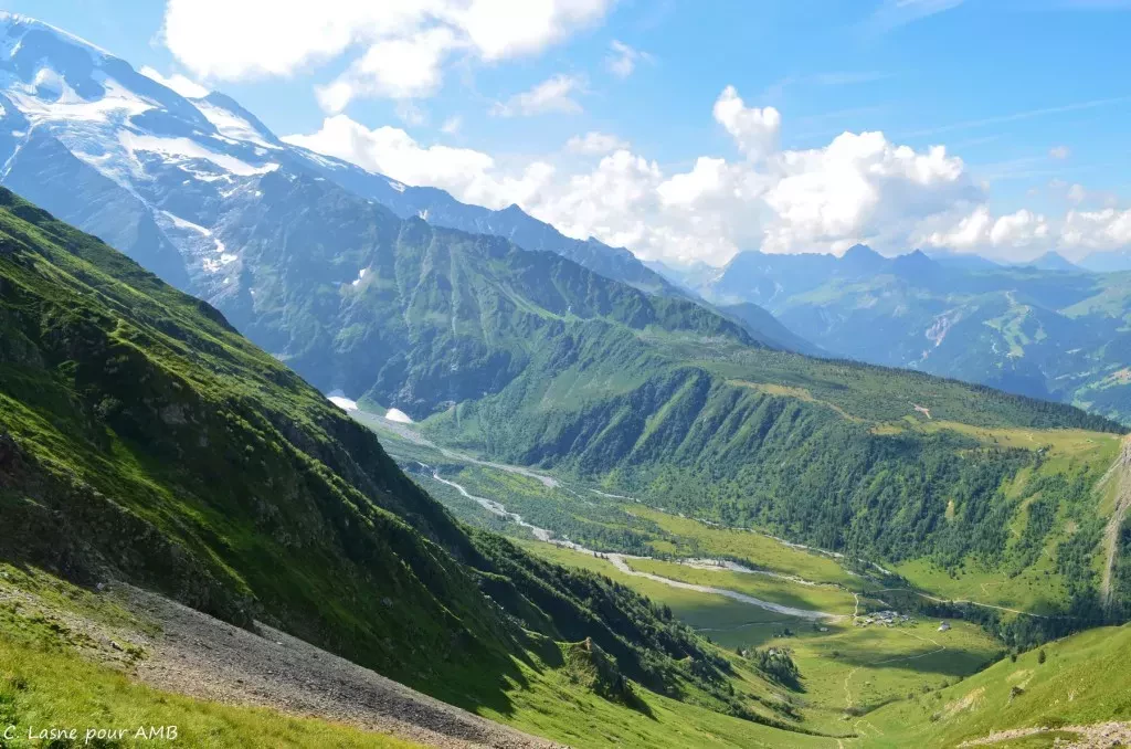 media-libraryghld7g9g4e618PctkOB