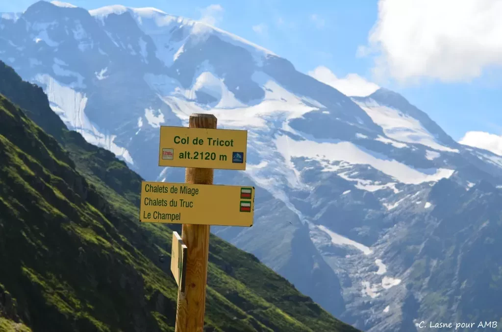 media-libraryudgi08hvhq6a18xYzPF