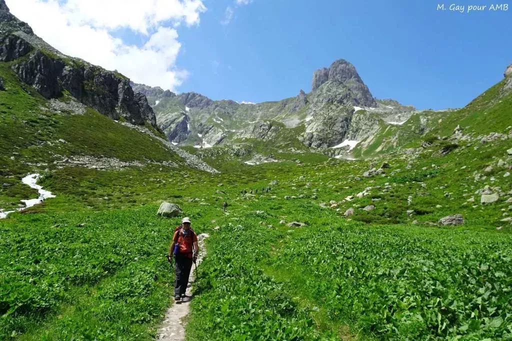 media-libraryu7ja39sfkiu5dGj0lVE