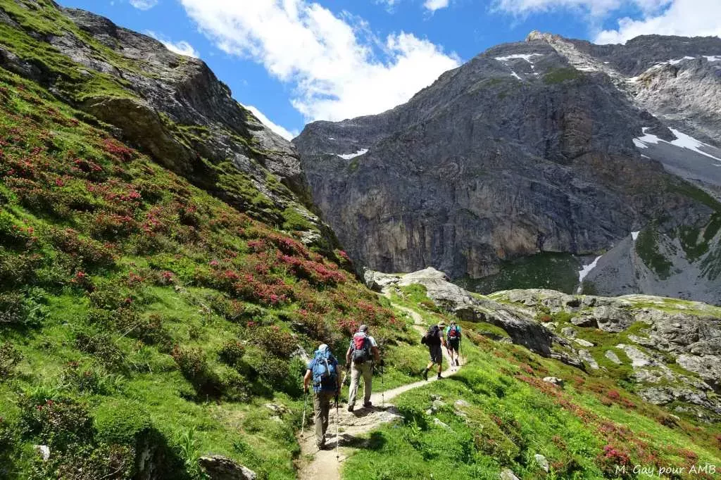 media-libraryuo66tu8irud79WYMKUE