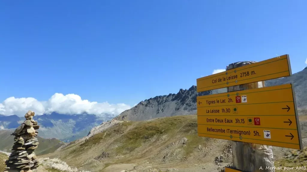 media-librarye81qccks3iv1aYAGcKE