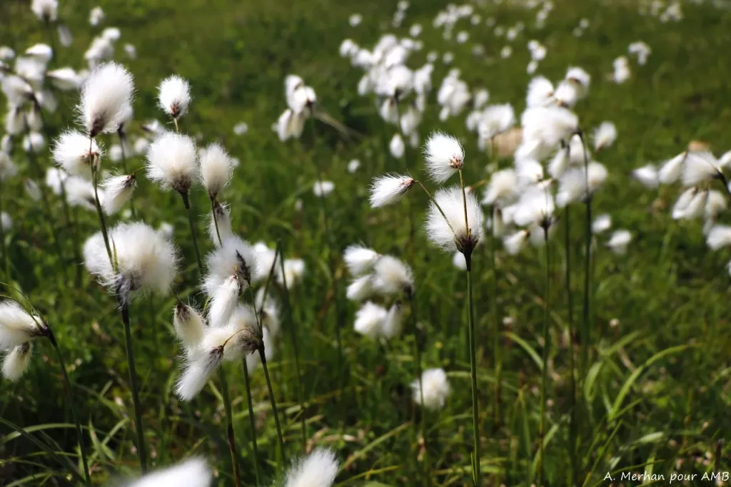 media-libraryir557u040p9b0mXcCdD