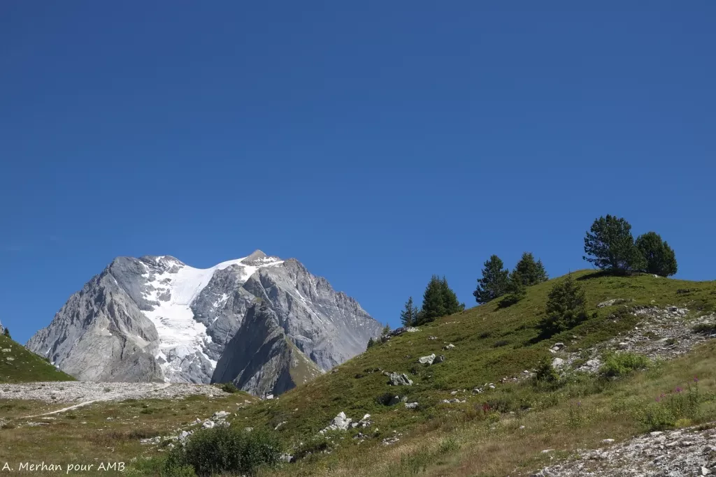 media-librarycv7vvlfifbhc7QXCUUB