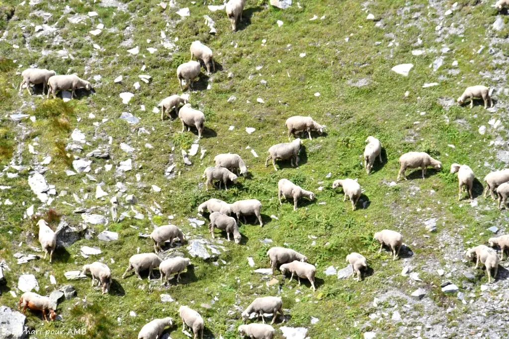 media-library0cmdb53590n422BkQ9B