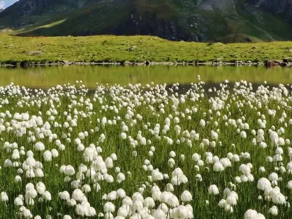 CHAMONIX - ZERMATT 6J Confort en Liberté