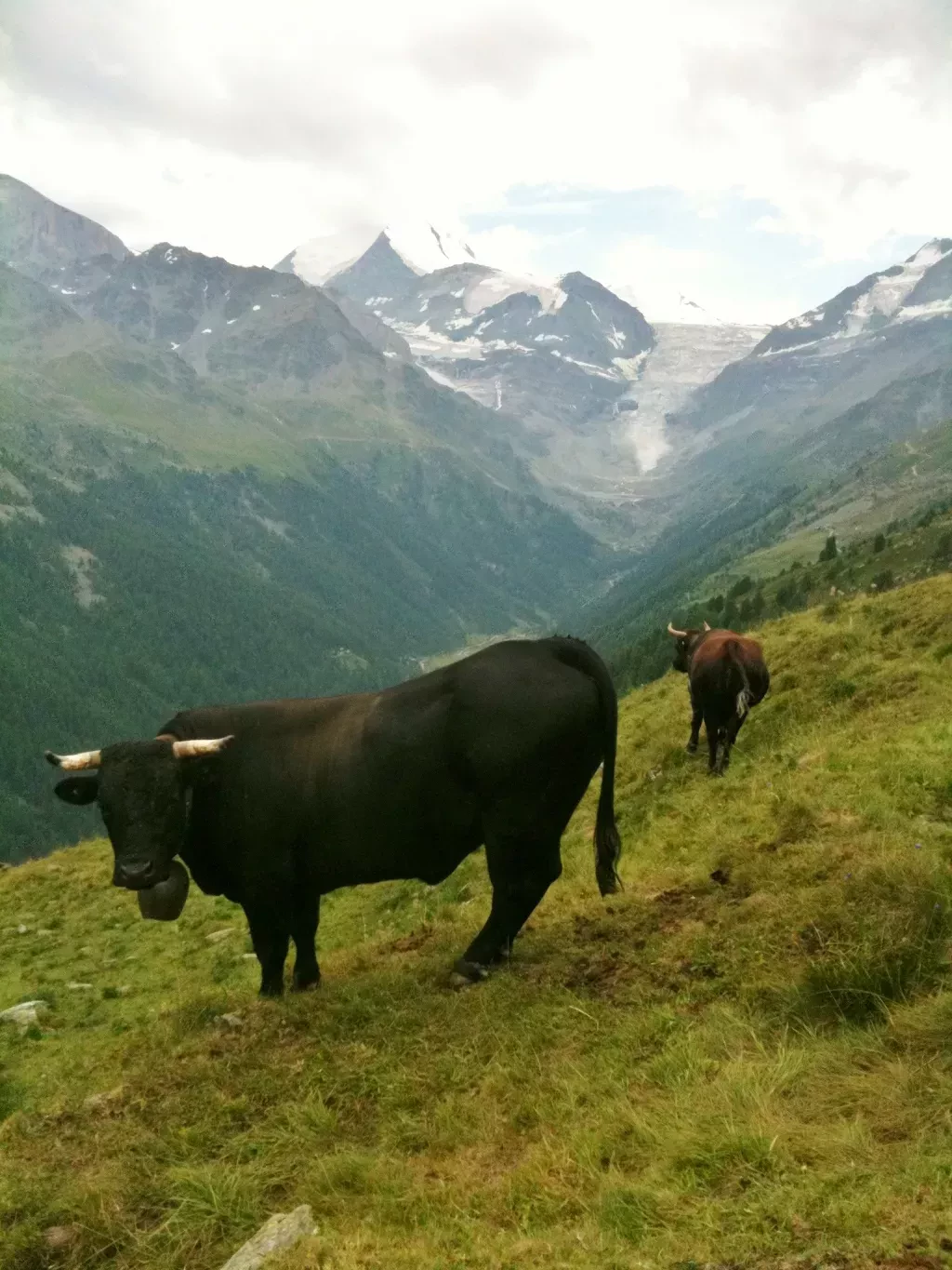 media-library2vsnr47v793l6vNMcVC