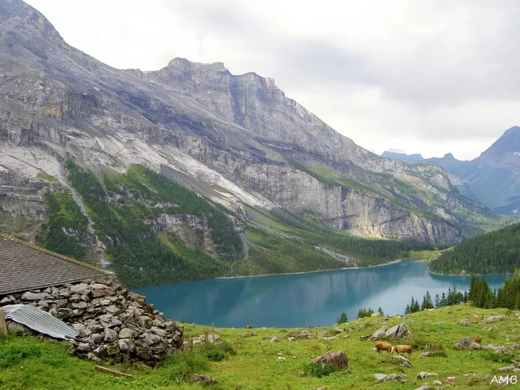 media-libraryo7snk6dl6a2o1YFgX3B