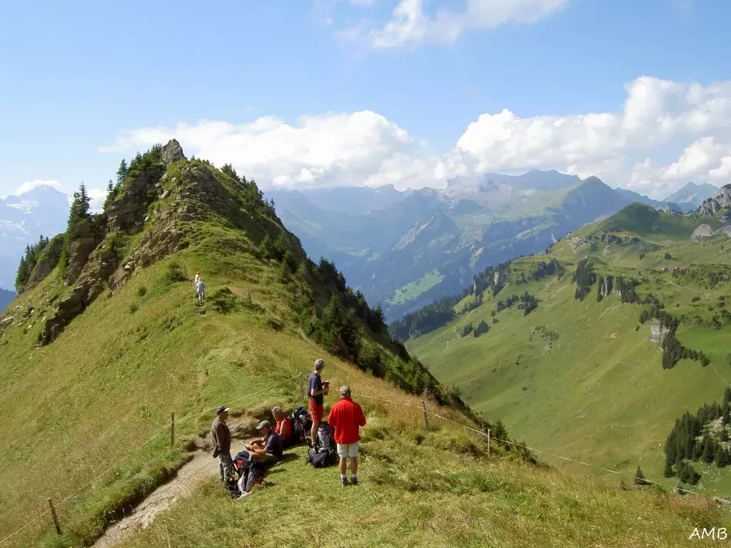 media-libraryipr8a5q8d5hhapQBjgE