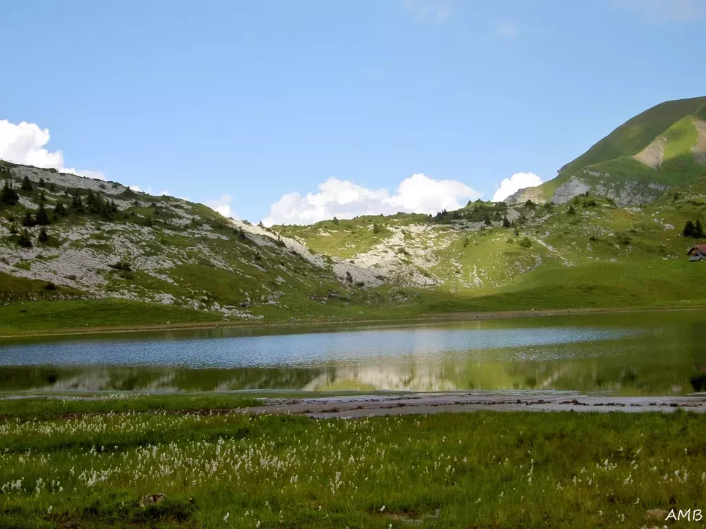 media-library0tjg0ktr6bjc3IDflkD