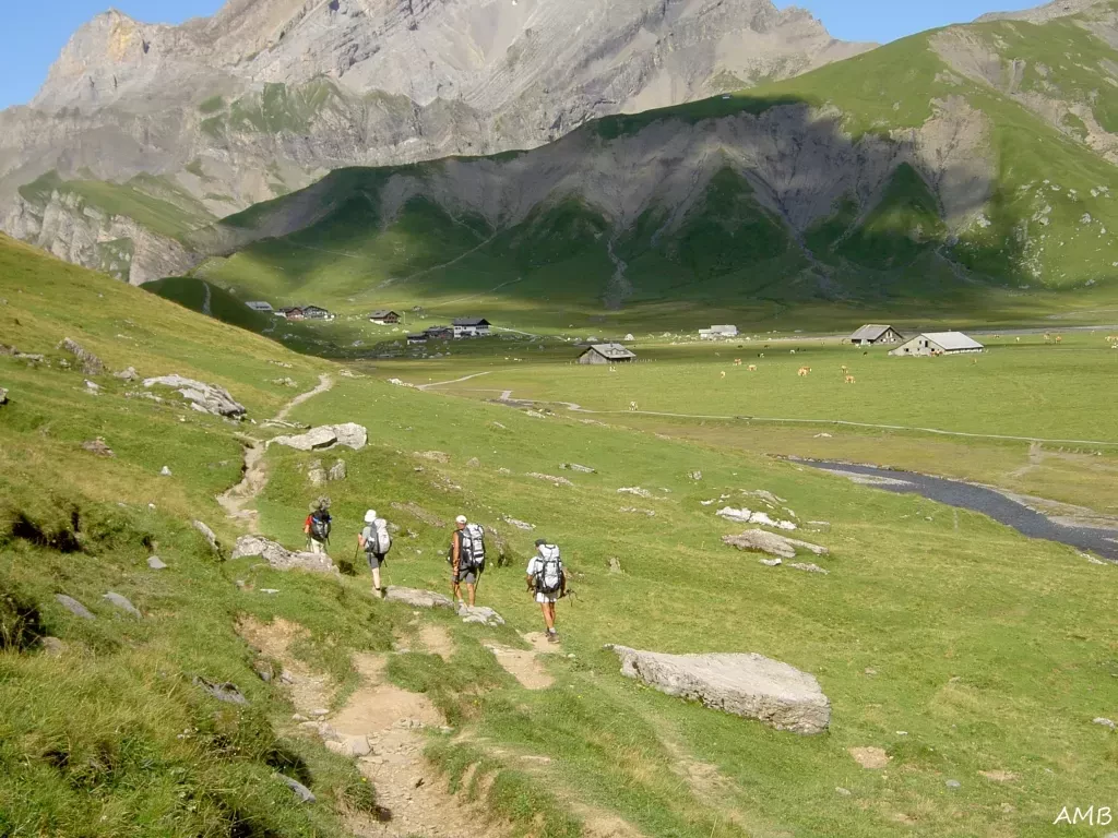 media-libraryi10njplui9oo1D9XSgE