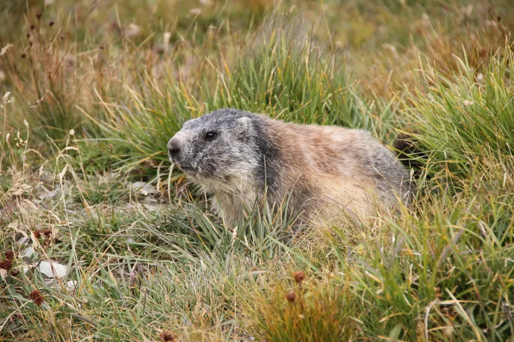 media-libraryk5mcbtqdj1hd33dO1wD