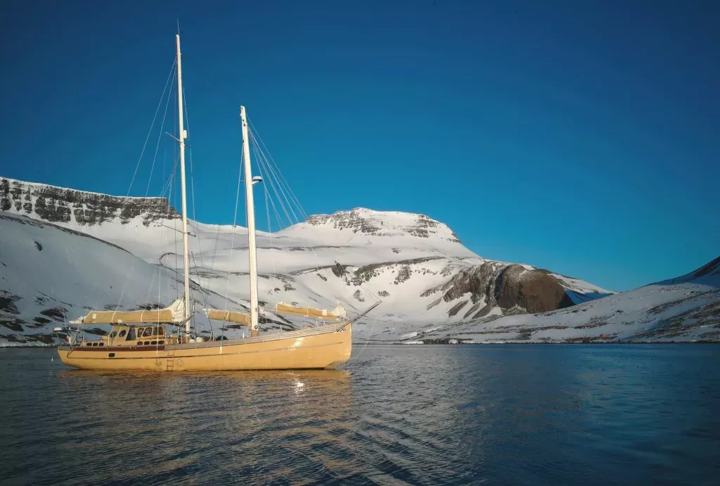 media-library9mimd7aftmji7yLEloX