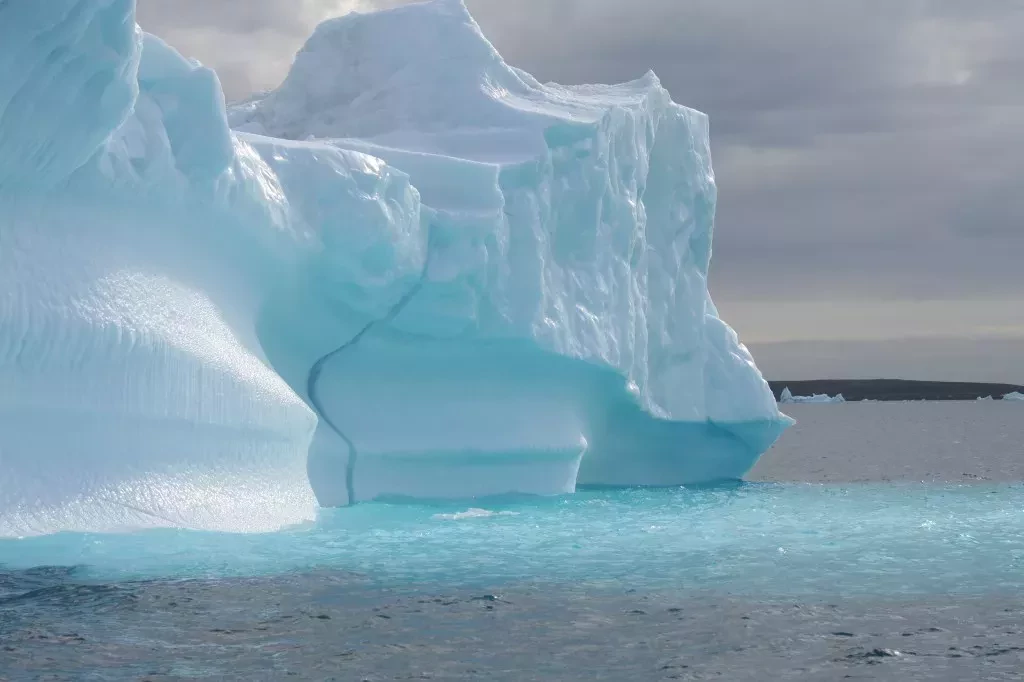 media-library4ffaep052s3q6CEIi5S