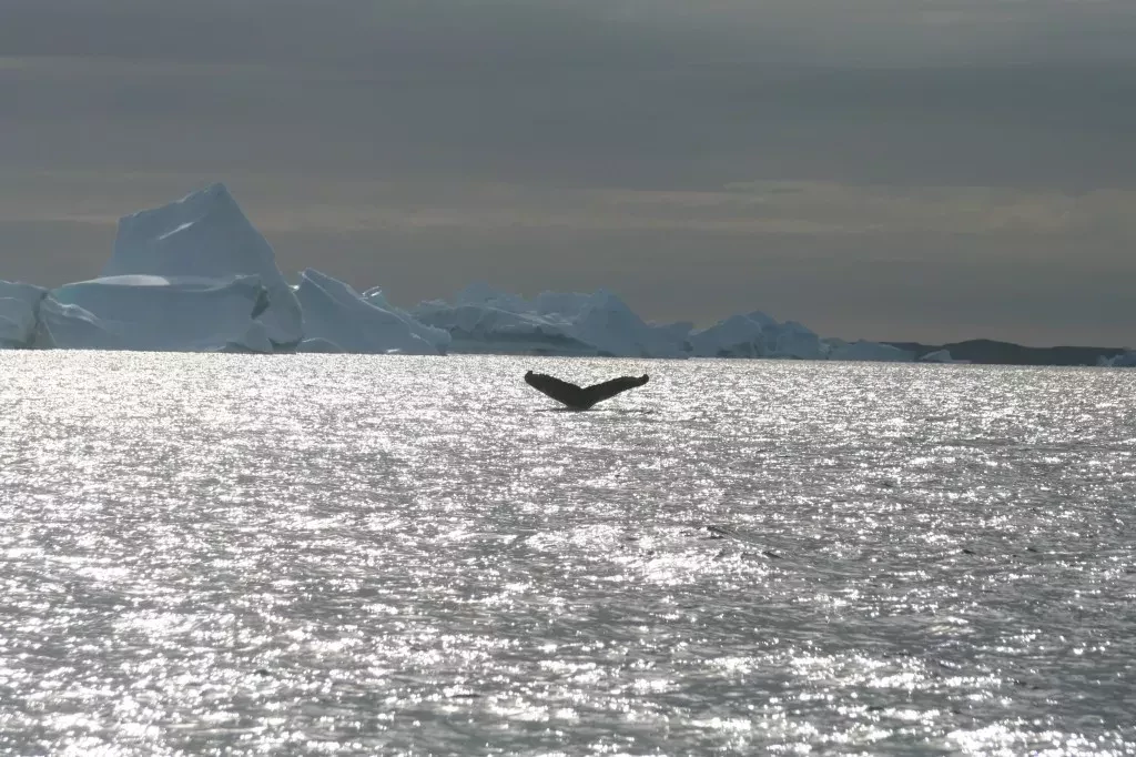 media-libraryt7rkrtb0rdn77LD8ANW