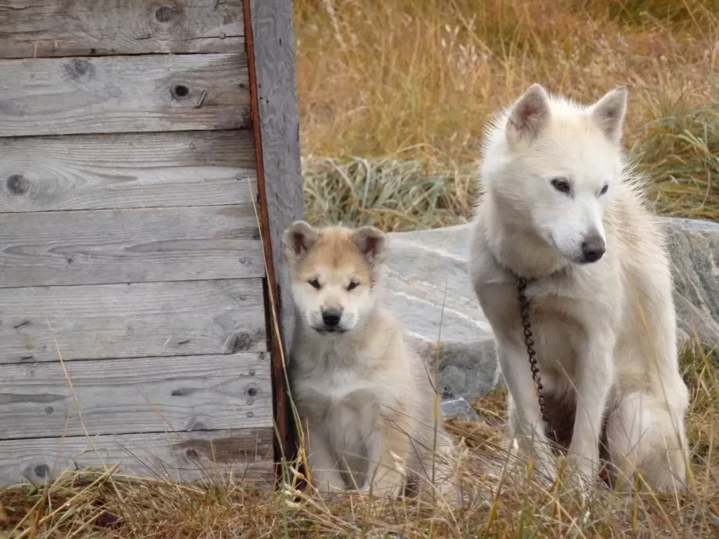 media-libraryfpgnlv8n5j4n6BcVkjU
