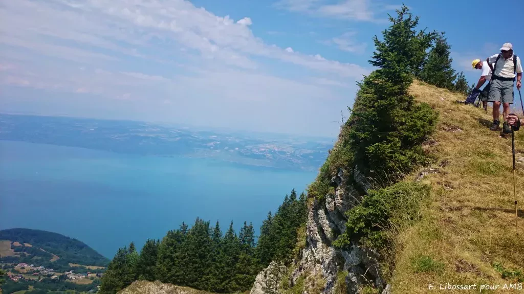 media-libraryrbt7rg4m7f4mbfbXmKU